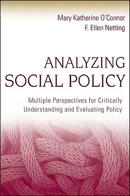 Analyse der Sozialpolitik - Analyzing Social Policy