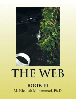 Das Netz: Buch Iii - The Web: Book Iii