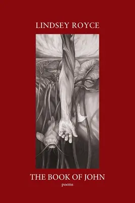 Das Buch des Johannes - The Book of John