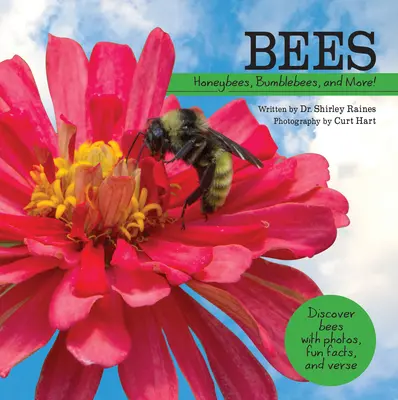 Bienen: Honigbienen, Hummeln und mehr! - Bees: Honeybees, Bumblebees, and More!