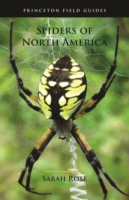 Spinnen in Nordamerika - Spiders of North America