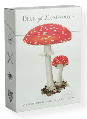 Das Deck der Pilze: Ein illustrierter Feldführer zu faszinierenden Pilzen - The Deck of Mushrooms: An Illustrated Field Guide to Fascinating Fungi