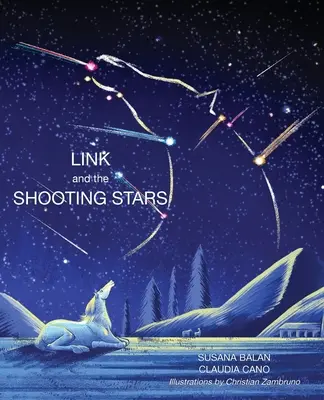 Link und die Sternschnuppen - Link and the Shooting Stars