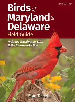 Vögel von Maryland & Delaware Feldführer: Einschließlich Washington, D.C., und der Chesapeake Bay - Birds of Maryland & Delaware Field Guide: Includes Washington, D.C., and the Chesapeake Bay