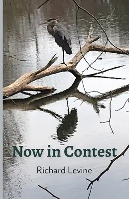 Jetzt im Wettbewerb - Now in Contest