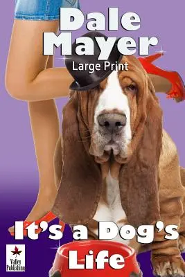 Es ist ein Hundeleben: Großdruck - It's a Dog's Life: Large Print