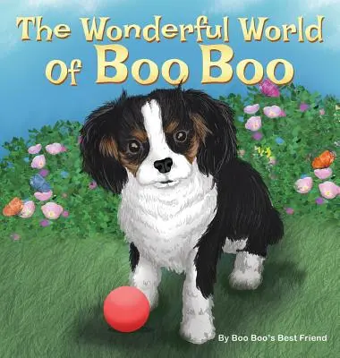 Die wunderbare Welt von Boo Boo - The Wonderful World Of Boo Boo