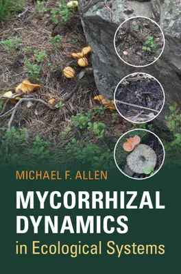 Mykorrhiza-Dynamik in ökologischen Systemen - Mycorrhizal Dynamics in Ecological Systems