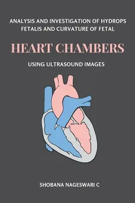 Analyse und Untersuchung von Hydrops fetalis und Krümmung der fetalen Herzkammern anhand von Ultraschallbildern - Analysis and Investigation of Hydrops Fetalis and Curvature of Fetal Heart Chambers Using Ultrasound Images