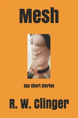 Masche: Schwule Kurzgeschichten - Mesh: Gay Short Stories