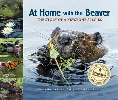 Zu Hause beim Biber: Die Geschichte einer Schlüsselspezies - At Home with the Beaver: A Story of a Keystone Species