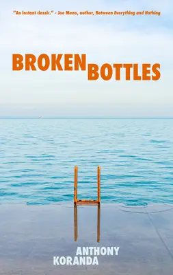 Zerbrochene Flaschen - Broken Bottles