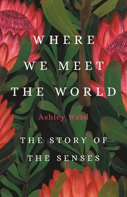 Wo wir die Welt treffen: Die Geschichte der Sinne - Where We Meet the World: The Story of the Senses