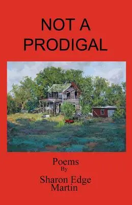 Kein verlorener Sohn - Not a Prodigal