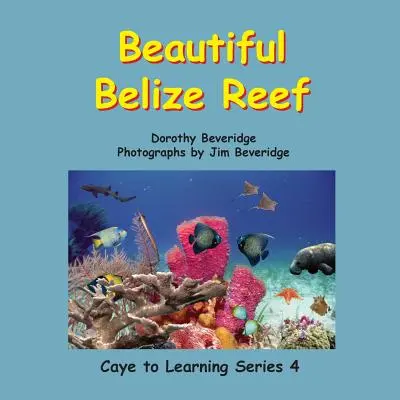 Das schöne Riff von Belize - Beautiful Belize Reef