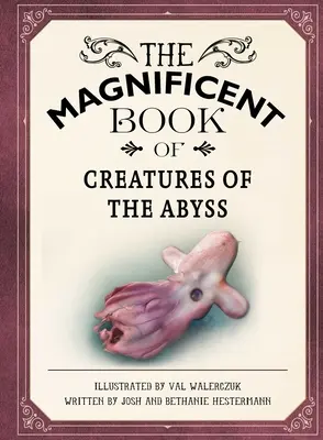 Das prächtige Buch der Kreaturen des Abgrunds: (Meerestierbücher für Kinder, Naturkundebücher für Kinder) - The Magnificent Book of Creatures of the Abyss: (Ocean Animal Books for Kids, Natural History Books for Kids)