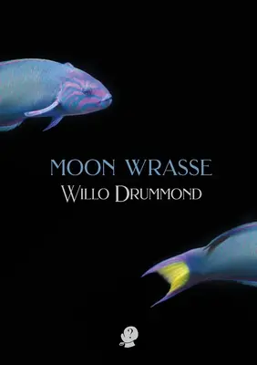 Mondfische - Moon Wrasse