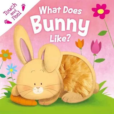 Was mag der Hase? Board Book zum Anfassen und Fühlen - What Does Bunny Like?: Touch & Feel Board Book