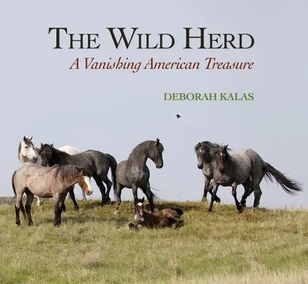 Die wilde Herde: Ein verschwindender amerikanischer Schatz - The Wild Herd: A Vanishing American Treasure