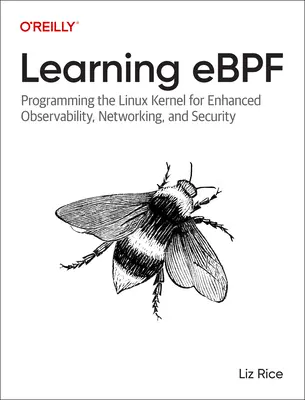 Ebpf lernen: Programmierung des Linux-Kernels für verbesserte Beobachtbarkeit, Vernetzung und Sicherheit - Learning Ebpf: Programming the Linux Kernel for Enhanced Observability, Networking, and Security