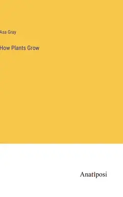 Wie Pflanzen wachsen - How Plants Grow