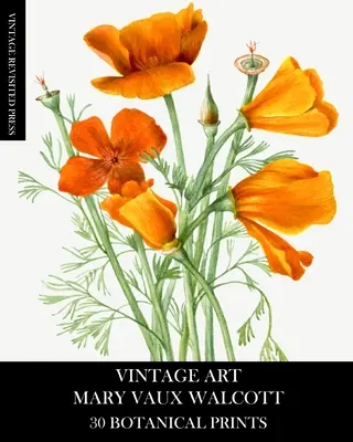 Vintage Kunst: Mary Vaux Walcott 30 botanische Drucke - Vintage Art: Mary Vaux Walcott 30 Botanical Prints