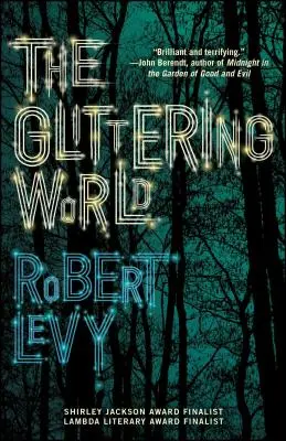 Die glitzernde Welt: Eine Buchclub-Empfehlung! - The Glittering World: A Book Club Recommendation!