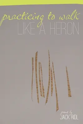 Sich darin üben, wie ein Reiher zu gehen - Practicing to Walk Like a Heron