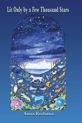 Nur von ein paar tausend Sternen erleuchtet - Lit Only by a Few Thousand Stars