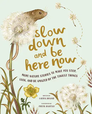 Verlangsamen Sie und seien Sie jetzt hier: Mehr Naturgeschichten zum Innehalten, Schauen und Staunen über die kleinsten Dinge - Slow Down and Be Here Now: More Nature Stories to Make You Stop, Look, and Be Amazed by the Tiniest Things