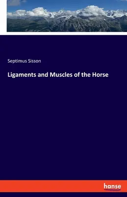 Bänder und Muskeln des Pferdes - Ligaments and Muscles of the Horse