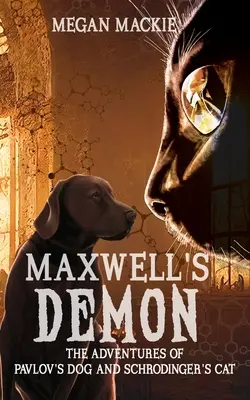 Maxwells Dämon - Maxwell's Demon