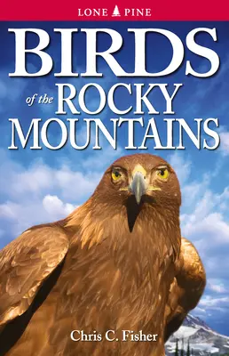 Vögel in den Rocky Mountains - Birds of the Rocky Mountains