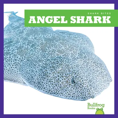 Engelshai - Angel Shark