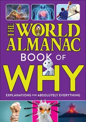 Das Weltalmanach-Buch des Warum: Erklärungen für absolut alles (Almanac Kids(tm) World) - The World Almanac Book of Why: Explanations for Absolutely Everything (Almanac Kids(tm) World)