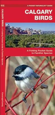 Vögel in Calgary: Faltbarer Taschenführer für bekannte Arten - Calgary Birds: A Folding Pocket Guide to Familiar Species