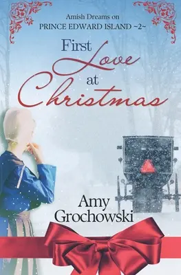 Erste Liebe zu Weihnachten: Amische Träume auf der Prinz-Edward-Insel, Buch 2 - First Love at Christmas: Amish Dreams on Prince Edward Island, Book 2