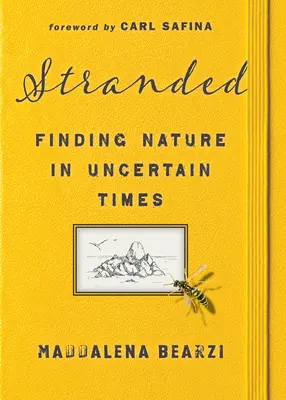 Gestrandet: Auf der Suche nach der Natur in unsicheren Zeiten - Stranded: Finding Nature in Uncertain Times