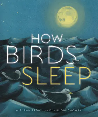 Wie Vögel schlafen - How Birds Sleep