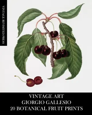 Kunst im Vintage-Stil: Giorgio Gallesio: 20 botanische Fruchtdrucke - Vintage Art: Giorgio Gallesio 20 Botanical Fruit Prints