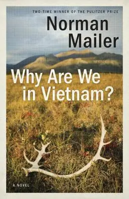 Warum sind wir in Vietnam? - Why Are We in Vietnam?