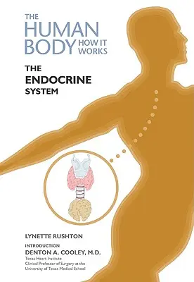 Das endokrine System - The Endocrine System