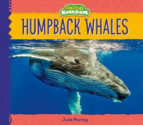 Buckelwale - Humpback Whales