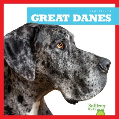 Deutsche Doggen - Great Danes