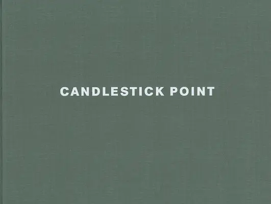 Lewis Baltz: Kerzenleuchter-Punkt - Lewis Baltz: Candlestick Point