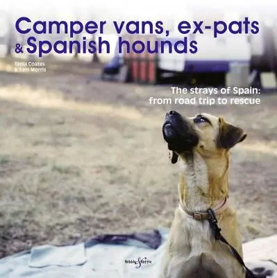 Wohnmobile, Ex-Pats und spanische Hunde: Die Streuner von Spanien: Vom Roadtrip zur Rettung - Camper Vans, Ex-Pats and Spanish Hounds: The Strays of Spain: From Road Trip to Rescue