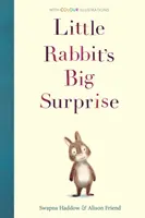 Die große Überraschung des kleinen Kaninchens - Little Rabbit's Big Surprise