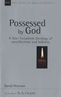 Von Gott besessen - Neutestamentliche Theologie der Heiligung und Heiligkeit (Peterson David (Autor)) - Possessed by God - New Testament Theology Of Sanctification And Holiness (Peterson David (Author))