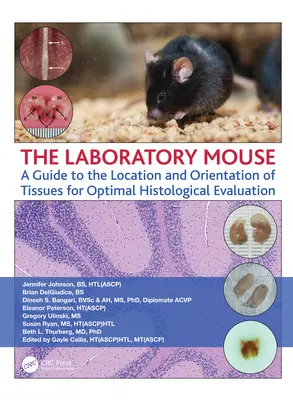 Die Labormaus: Ein Leitfaden zur Lage und Ausrichtung von Geweben für eine optimale histologische Auswertung - The Laboratory Mouse: A Guide to the Location and Orientation of Tissues for Optimal Histological Evaluation