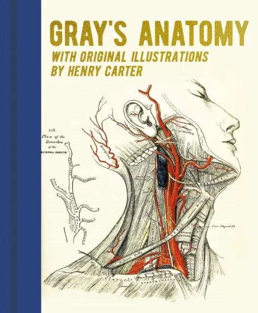 Gray's Anatomie - Mit Originalillustrationen von Henry Carter - Gray's Anatomy - With Original Illustrations by Henry Carter